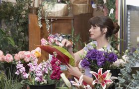 Blomsterdekoratør velger ut blomster