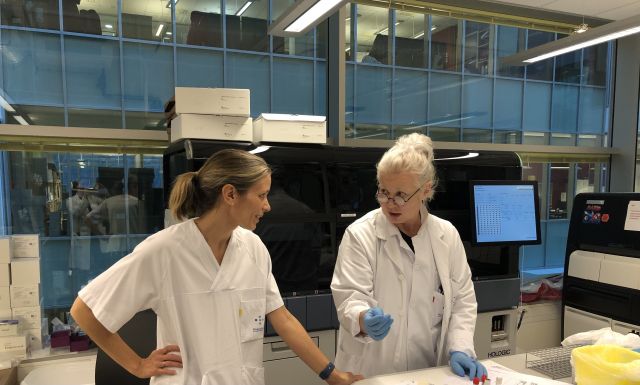Virolog Marit Helen Ebbesen står i laboratoriet og diskuterer prøver med en kollega