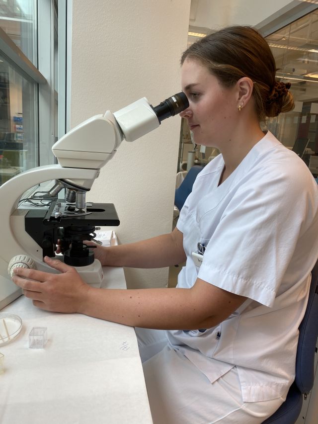 Bioingeniør Ingvild Fleten Sortland sitter ved en benk og ser inn i et mikroskop. Mikroskopet brukes blant annet til å telle antall celler manuelt i en blodprøve, eller for å kontrollere et blodprøveresultat. Hun har på seg hvit, kortermet arbeidsantrekk.