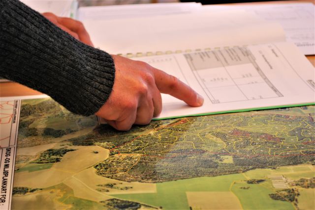 Skogbrukssjef i Moss kommune, Harald Urstad, bruker kart og flyfoto over områder i kommunen.