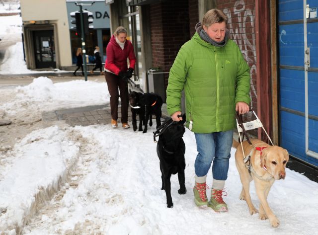 Førerhundtrener Anette Hornfelt med to hunder i sele, gående langs fortau med mye snø. En annen førerhundtrener i bakgrunnen med to andre hunder.