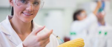 Matteknolog injiserer en maiskolbe på et laboratorium.